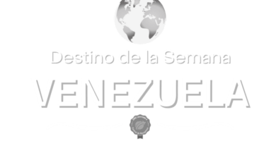 aves exoticas en venezuela descubre sus maravillas