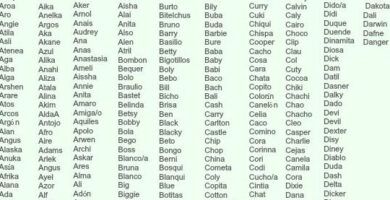 nombres de pajaros para machos y hembras