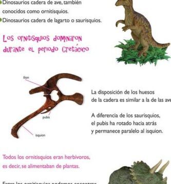 reptiles herbivoros conoce sus diferentes tipos