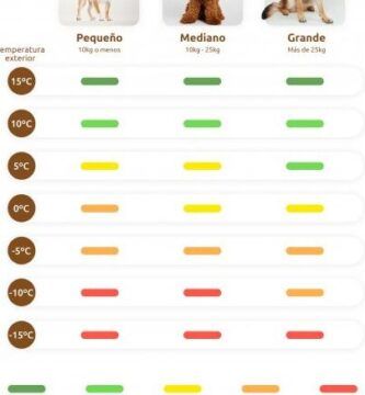 temperatura normal de perros lo que debes saber