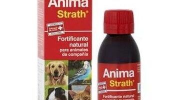 usos y dosis recomendadas de malta para conejos