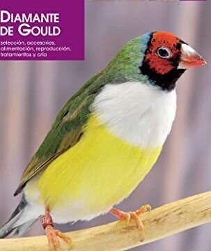 como criar diamantes de gould guia completa