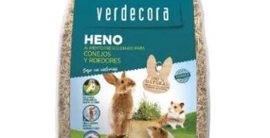 descubre los 10 sonidos que hacen los conejos