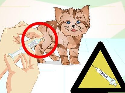 dosis y efectos secundarios de mirtazapina en gatos