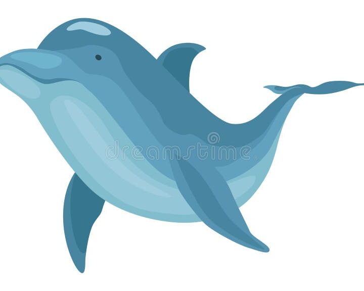 el delfin mamifero o pez