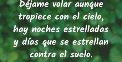 frases inspiradoras de aves