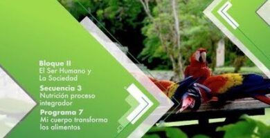 la locomocion animal formas de desplazamiento en la naturaleza