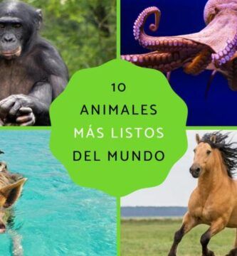 los animales menos inteligentes del mundo cuales son
