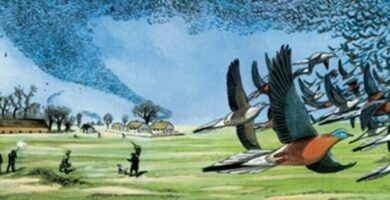 migracion animal causas y ejemplos