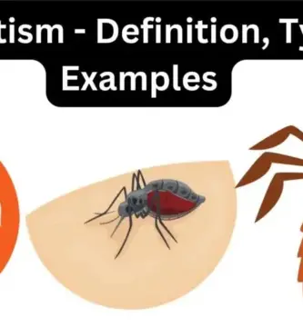 tipos y ejemplos de parasitismo definicion y mas