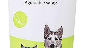 uso y dosis adecuados de la malta para perros