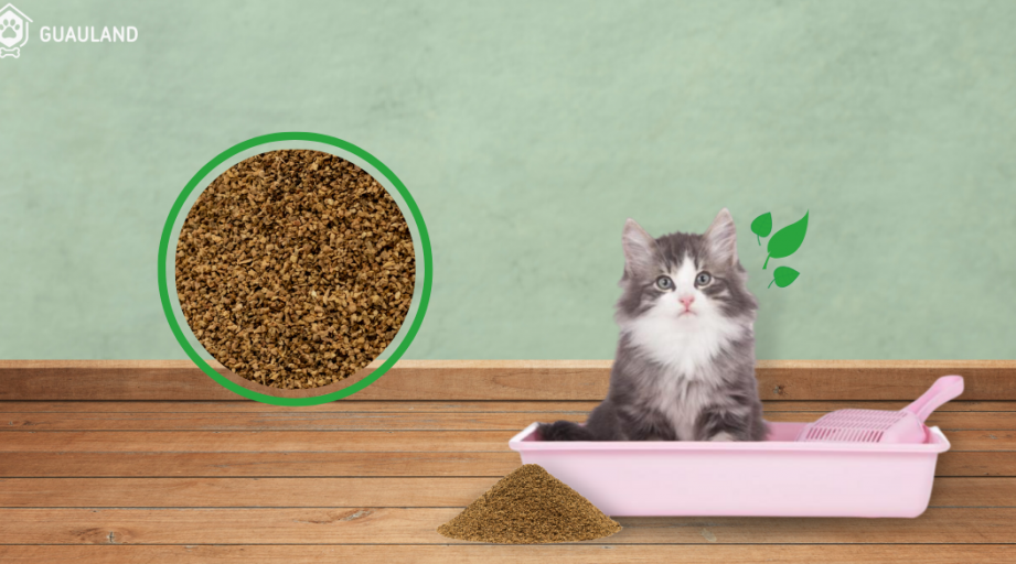 variedades de arena ideales para gatos