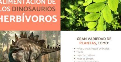 caracteristicas y ejemplos de dinosaurios omnivoros