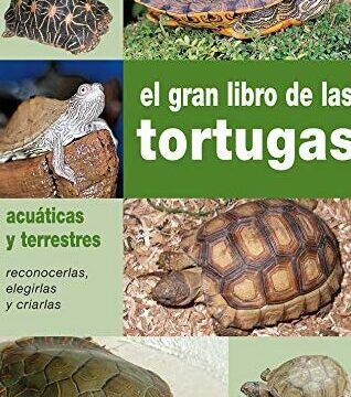 datos curiosos sobre tortugas