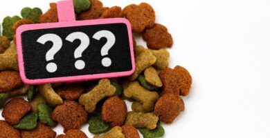 dosis y forma de ofrecer omega 3 y 6 a perros