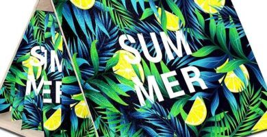 habitat de las ardillas donde encuentran su hogar