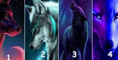 caracteristicas de los diferentes tipos de lobos