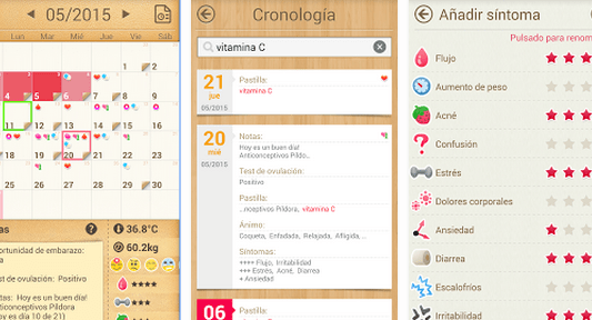 ciclo menstrual en gatas todo lo que debes saber