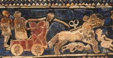 ejemplos y caracteristicas de animales hibridos reales