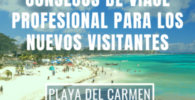 importancia de la dosis de vitamina a en tortugas