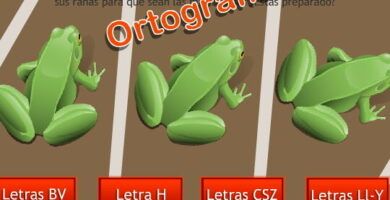 la anatomia de las ranas descubre sus huesos