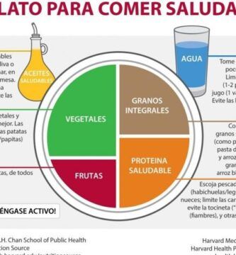 la dieta del leon lo que necesita saber