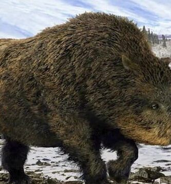 la extincion del dodo causas y consecuencias