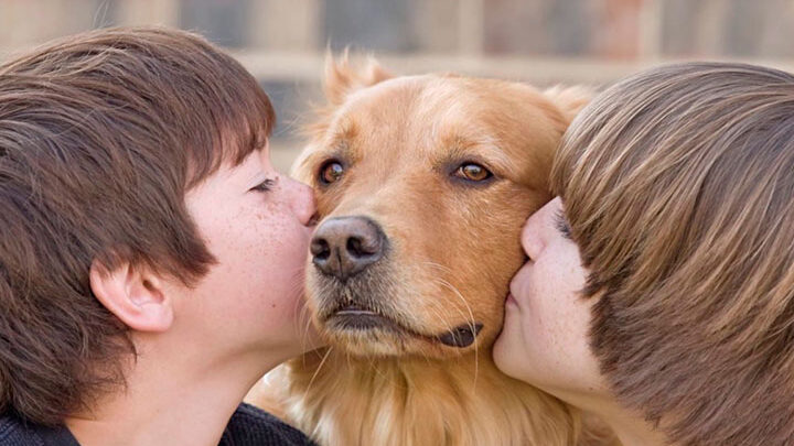 los riesgos de besar a tu perro