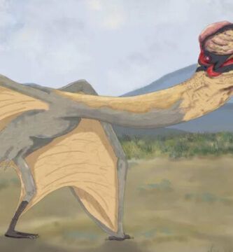 nombres e imagenes de los tipos de dinosaurios voladores