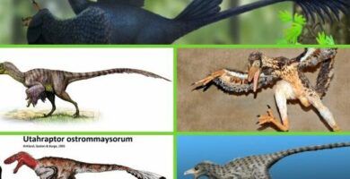 nombres y fotos de los tipos de dinosaurios marinos