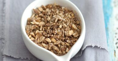 tratamientos naturales para la seborrea en caninos